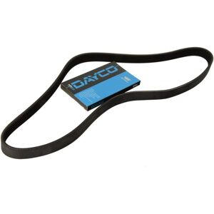DAYCO 6PK841 V-remmi - V-belt DAYCO 6PK841 V-remmi - V-belt