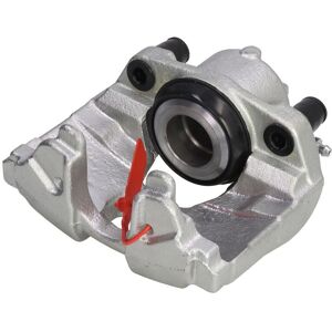 Jarrusatula Lauber 77.3459 Jarrusatula Lauber 77.3459