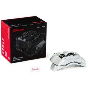Jarrusatula Brembo F Br 103b Jarrusatula Brembo F Br 103b