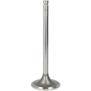 Imuventtiili Paradowscy Pcum001 Imuventtiili Paradowscy Pcum001