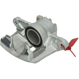 Jarrusatula Lauber 77.2600 Jarrusatula Lauber 77.2600