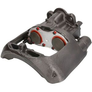 Jarrusatula Sbp Teq-Bc.001 Jarrusatula Sbp Teq-Bc.001