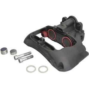 Jarrusatula Sbp Teq-Kr.003 Jarrusatula Sbp Teq-Kr.003