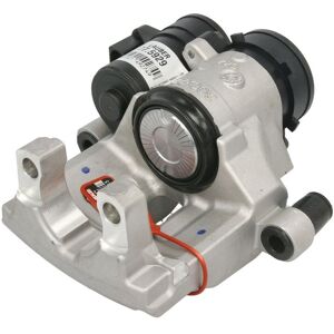 Jarrusatula Lauber 77.5929 Jarrusatula Lauber 77.5929