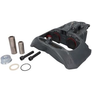 Jarrusatula Sbp Teq-Bc.077 Jarrusatula Sbp Teq-Bc.077