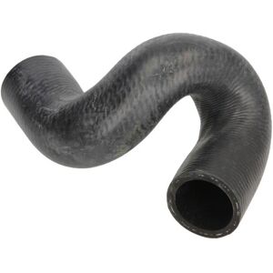 THERMOTEC DWX175TT - Joustava jäähdyttimen letku - Oikea puoli - Alkuperäinen osa THERMOTEC DWX175TT - Joustava jäähdyttimen letku - Oikea puoli - Alkuperäinen osa