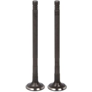 Pakoventtiili Trw 181113 Pakoventtiili Trw 181113