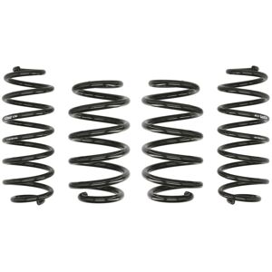 Jousi, Jousitus Eibach Pro-Kit E10-15-010-01-22 Jousi, Jousitus Eibach Pro-Kit E10-15-010-01-22