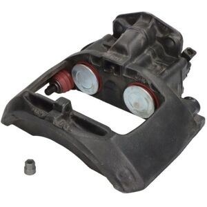 Jarrusatula Sbp Teq-Kn.004 Jarrusatula Sbp Teq-Kn.004