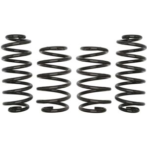 Jousi, Jousitus Eibach Pro-Kit E10-85-016-02-22 Jousi, Jousitus Eibach Pro-Kit E10-85-016-02-22