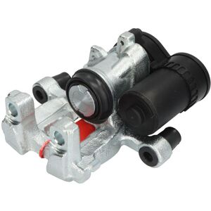 Jarrusatula Lauber 77.5937 Jarrusatula Lauber 77.5937