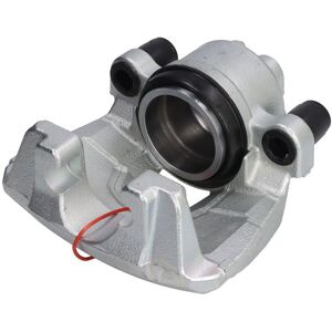 Jarrusatula Lauber 77.5969 Jarrusatula Lauber 77.5969