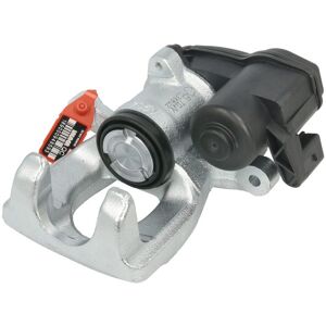 Jarrusatula Lauber 77.5948 Jarrusatula Lauber 77.5948