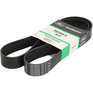 Moniurahihna Gates 12pk1603hd Moniurahihna Gates 12pk1603hd