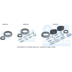 Asennussarja, Katalysaattori Bm Catalysts Fk91617 Asennussarja, Katalysaattori Bm Catalysts Fk91617