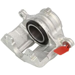 Jarrusatula Lauber 77.1747 Jarrusatula Lauber 77.1747