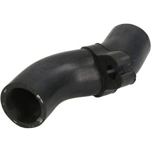 Jäähdyttimen Letku Thermotec Dww329tt Jäähdyttimen Letku Thermotec Dww329tt