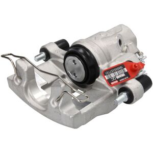 Jarrusatula Lauber 77.3896 Jarrusatula Lauber 77.3896