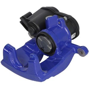 Jarrusatula Trw Bhs1863e Jarrusatula Trw Bhs1863e