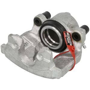 Jarrusatula Lauber 77.5859 Jarrusatula Lauber 77.5859