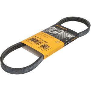 Contitech Moniurahihna Continental 4pk723 Elast Contitech Moniurahihna Continental 4pk723 Elast