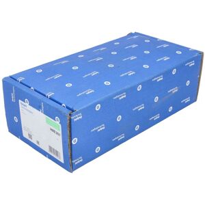 DELPHI HRE307 Polttoaineen ruiskupumppu-yksikkö - Uudelleen kunnostettu DELPHI HRE307 Polttoaineen ruiskupumppu-yksikkö - Uudelleen kunnostettu