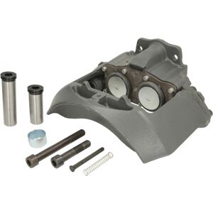 Jarrusatula Sbp Teq-Ma.019 Jarrusatula Sbp Teq-Ma.019
