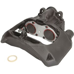 Jarrusatula Sbp Teq-Bc.005 Jarrusatula Sbp Teq-Bc.005