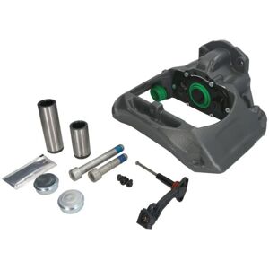 Jarrusatula Sbp Teq-Ma.022 Jarrusatula Sbp Teq-Ma.022