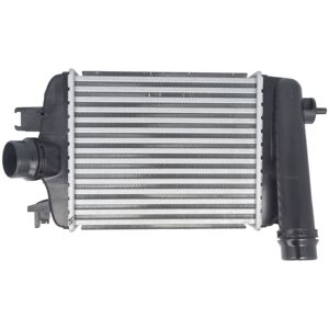 Välijäähdytin Magneti Marelli 351319206100 Välijäähdytin Magneti Marelli 351319206100