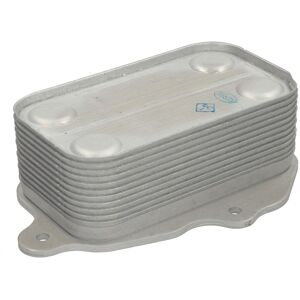 Moottoriöljyn Jäähdytin Thermotec D40401tt Moottoriöljyn Jäähdytin Thermotec D40401tt