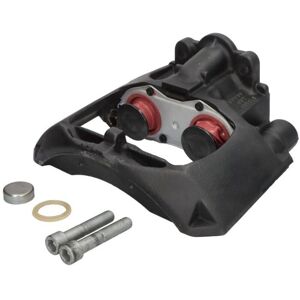 Jarrusatula Sbp Teq-Kr.006 Jarrusatula Sbp Teq-Kr.006