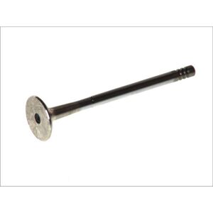 FRECCIA 4729/RCR Pakoputken venttiili - Pakoputken venttiili FRECCIA 4729/RCR Pakoputken venttiili - Pakoputken venttiili