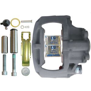 Jarrusatula Knorr K219963k50 Jarrusatula Knorr K219963k50