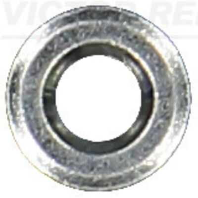 Victor Reinz Ventilitiiviste - 70-16736-00 Victor Reinz Ventilitiiviste - 70-16736-00