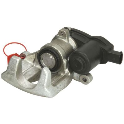 Jarrusatula Lauber 77.3742 Jarrusatula Lauber 77.3742