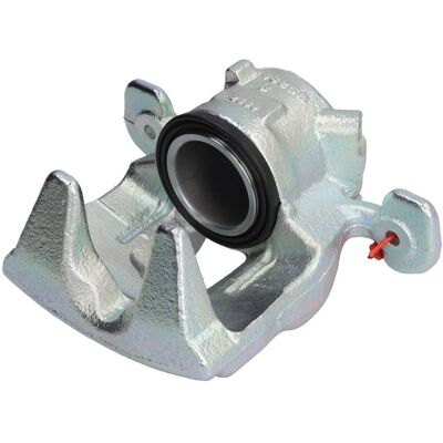 Jarrusatula Lauber 77.5763 Jarrusatula Lauber 77.5763