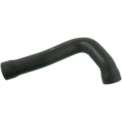 Jäähdyttimen Letku Febi Bilstein 27460 Oikea Jäähdyttimen Letku Febi Bilstein 27460 Oikea