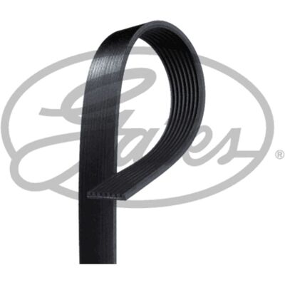 GATES V-urainen hihna 8PK1503HD - V-urainen hihna GATES V-urainen hihna 8PK1503HD - V-urainen hihna