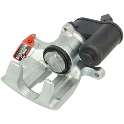 Jarrusatula Lauber 77.5904 Jarrusatula Lauber 77.5904