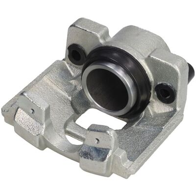 Jarrusatula Lauber 77.5386 Jarrusatula Lauber 77.5386