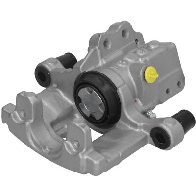 Jarrusatula Lauber 77.5308 Jarrusatula Lauber 77.5308