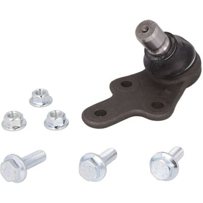 MOOG V40 Tasauskulapsenivel - Tasauskulapsenivel, Oikea etu, 21mm kääntö, MOOG MOOG V40 Tasauskulapsenivel - Tasauskulapsenivel, Oikea etu, 21mm kääntö, MOOG
