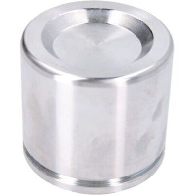 AUTOFREN SEINSA D025666 Jarrusatula - Etu, Teräs, 54mm AUTOFREN SEINSA D025666 Jarrusatula - Etu, Teräs, 54mm