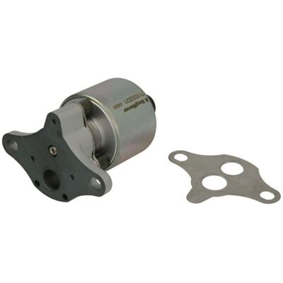 Borg Warner Egr-Venttiili Wahler Wa711033d/1 Borg Warner Egr-Venttiili Wahler Wa711033d/1