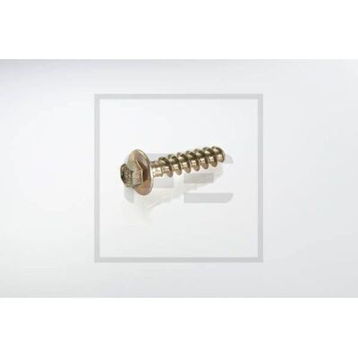 PETERS 065.103-00A Kuusikulmainen ruuvi - 40mm, 10mm avaus, Kromiton PETERS 065.103-00A Kuusikulmainen ruuvi - 40mm, 10mm avaus, Kromiton