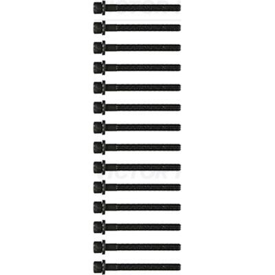 REINZ 14-32047-03 Sylinterinkannen pulttisarja - Likaahtanut kuusikulmainen - Sylinterinkannen pulttisarja REINZ 14-32047-03 Sylinterinkannen pulttisarja - Likaahtanut kuusikulmainen - Sylinterinkannen pulttisarja