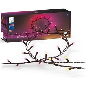 Philips Hue Festavia 500 Leds 40m