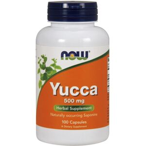 NOW Foods Yucca 500 MG - Ravintolisät NOW Foods Yucca 500 MG - Ravintolisät