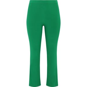 Basics (B) Tregging DOLCE green (240) 38/40 (38/40) Women